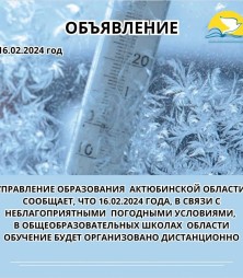 WhatsApp Image 2024 02 19 at 15.00.40