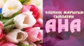 WhatsApp Image 2024 06 07 at 09.56.45